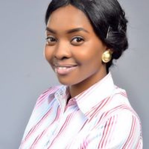 Mentorsip in Nigeria – Bramble Network