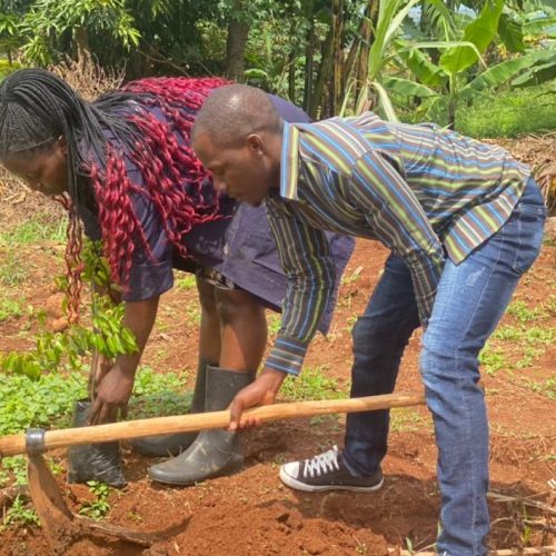 Launching the tree plant project in Mpigi